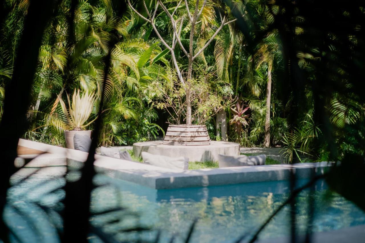 Lua Villas Playa Santa Teresa  Eksteriør billede