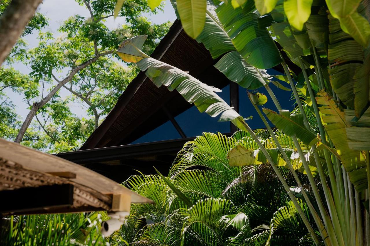 Lua Villas Playa Santa Teresa  Eksteriør billede